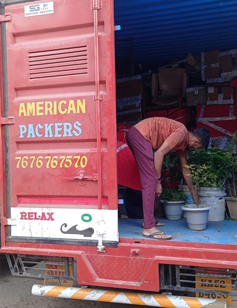 American Packers and Movers